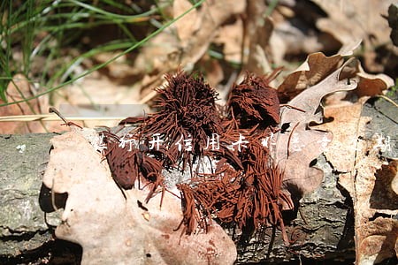 银行开信用卡非恶意逾期 银行开信用卡非恶意逾期