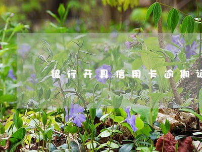 银行开具信用卡逾期证明 银行开具信用卡逾期证明