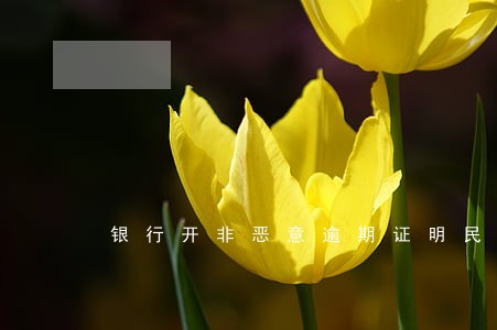 银行开非恶意逾期证明民生 银行开非恶意逾期证明民生