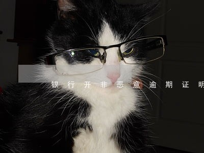 银行开非恶意逾期证明难吗制作 银行开非恶意逾期证明难吗制作