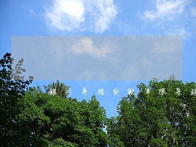 银行弄错贷款年限导致逾期 银行弄错贷款年限导致逾期