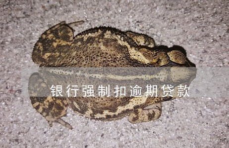 银行强制扣逾期贷款 银行强制扣逾期贷款