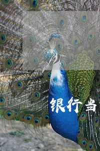 银行当前逾期记录怎么消除 银行当前逾期记录怎么消除