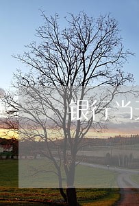 银行当天还款算逾期吗
