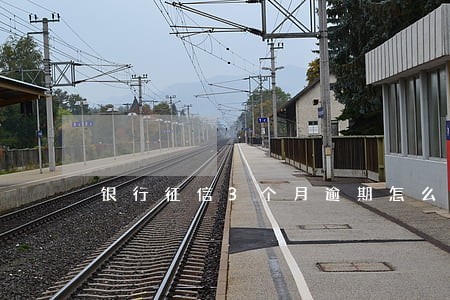 银行征信3个月逾期怎么消除 银行征信3个月逾期怎么消除