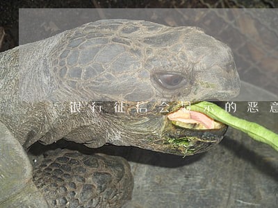 银行征信会显示的恶意逾期吗 银行征信会显示的恶意逾期吗