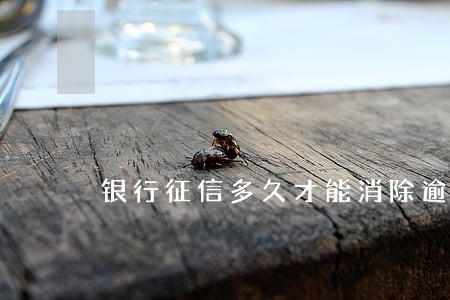 银行征信多久才能消除逾期 银行征信多久才能消除逾期
