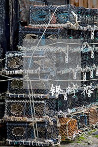 银行征信报告1个月逾期 银行征信报告1个月逾期