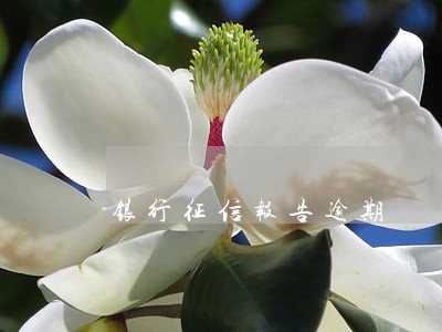 银行征信报告逾期 银行征信报告逾期