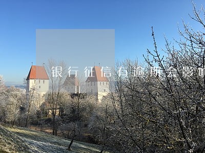 银行征信有逾期会影响开公司吗