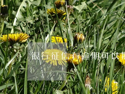 银行征信有逾期可以抵押贷款吗 银行征信有逾期可以抵押贷款吗