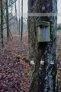 银行征信有逾期多久可以清空 银行征信有逾期多久可以清空