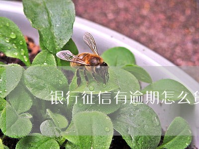 银行征信有逾期怎么贷款吗 银行征信有逾期怎么贷款吗