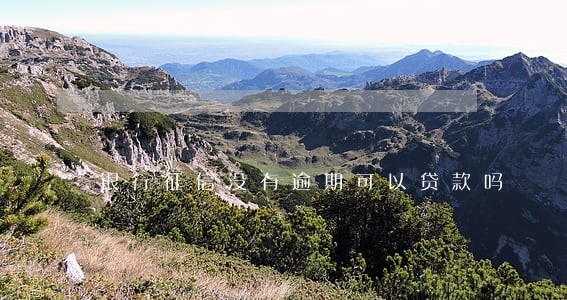 银行征信没有逾期可以贷款吗 银行征信没有逾期可以贷款吗