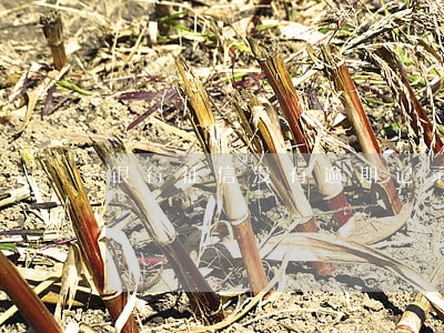 银行征信没有逾期记录 银行征信没有逾期记录