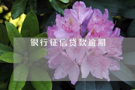 银行征信贷款逾期 银行征信贷款逾期