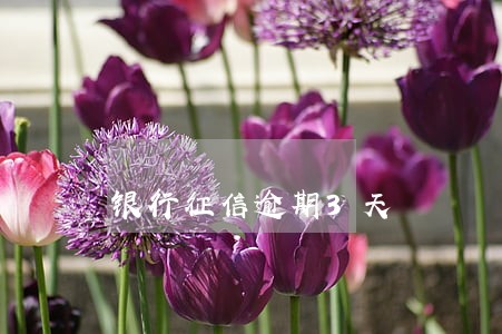 银行征信逾期3天 银行征信逾期3天