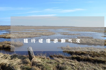 银行征信逾期5次 银行征信逾期5次