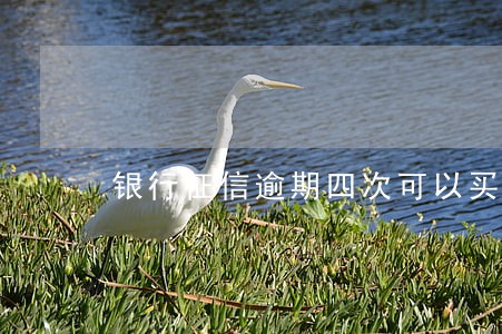银行征信逾期四次可以买房吗