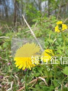 银行征信逾期如何消除记录 银行征信逾期如何消除记录