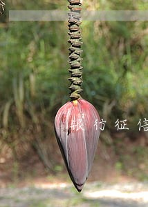 银行征信逾期怎么可以处理