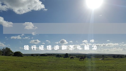 银行征信逾期怎么解决 银行征信逾期怎么解决