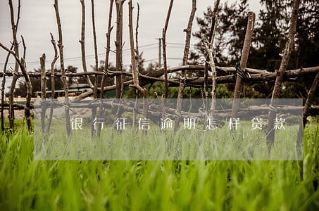 银行征信逾期怎样贷款 银行征信逾期怎样贷款