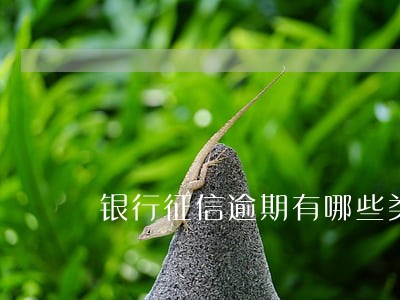 银行征信逾期有哪些类 银行征信逾期有哪些类