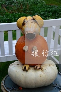 银行征信逾期看几年内的 银行征信逾期看几年内的