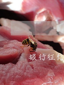 银行征信逾期记录可以删除 银行征信逾期记录可以删除