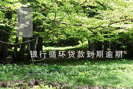 银行循环贷款到期逾期 银行循环贷款到期逾期