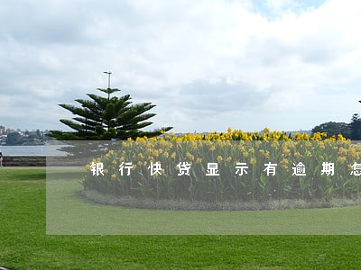 银行快贷显示有逾期怎么办 银行快贷显示有逾期怎么办