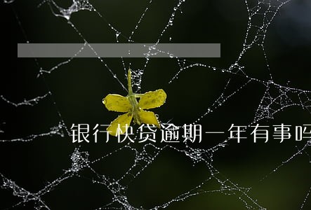 银行快贷逾期一年有事吗 银行快贷逾期一年有事吗