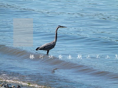 银行快贷逾期还不上怎么办 银行快贷逾期还不上怎么办