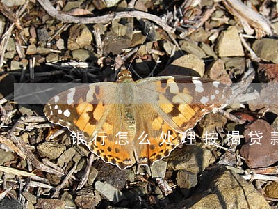 银行怎么处理按揭贷款房子逾期 银行怎么处理按揭贷款房子逾期