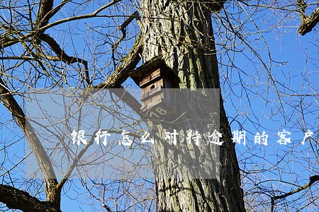 银行怎么对待逾期的客户 银行怎么对待逾期的客户