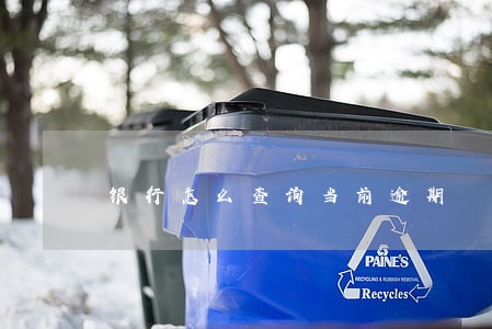 银行怎么查询当前逾期 银行怎么查询当前逾期