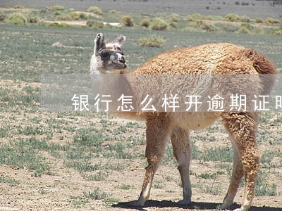 银行怎么样开逾期证明 银行怎么样开逾期证明