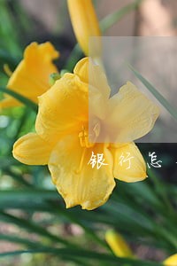 银行怎么样才会修改逾期