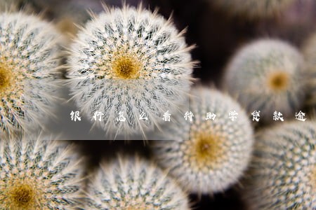 银行怎么看待助学贷款逾期的 银行怎么看待助学贷款逾期的