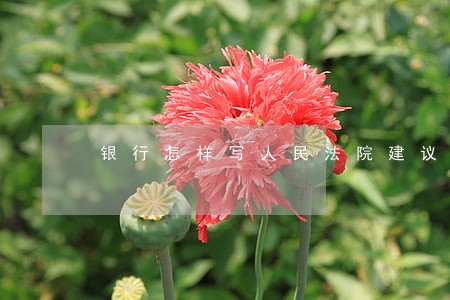 银行怎样写人民法院建议函
