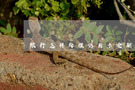银行怎样处理信用卡逾期