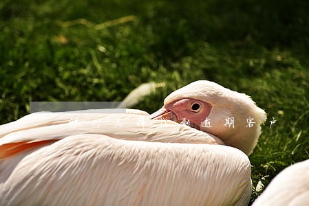 银行怎样找到逾期客户