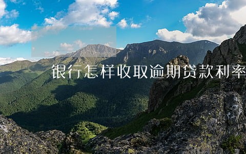 银行怎样收取逾期贷款利率 银行怎样收取逾期贷款利率
