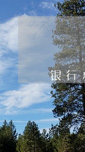 银行总逾期金额 银行总逾期金额
