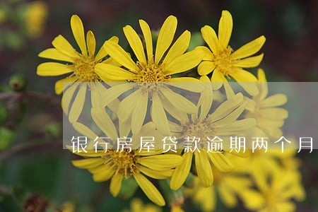 银行房屋贷款逾期两个月每还