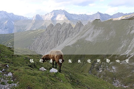 银行房贷发生逾期影响贷款 银行房贷发生逾期影响贷款