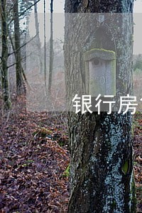 银行房贷套现款违法吗 银行房贷套现款违法吗