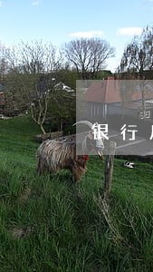 银行房贷延后4天算逾期吗 银行房贷延后4天算逾期吗