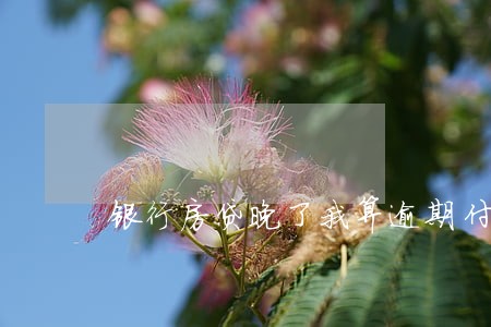 银行房贷晚了我算逾期付款吗 银行房贷晚了我算逾期付款吗